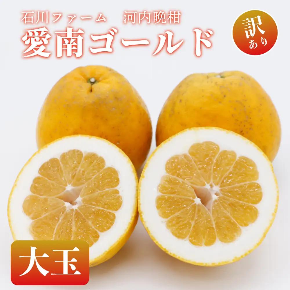 訳あり 愛南ゴールド（河内晩柑） 9kg  (大玉)サイズ3L  愛媛県 みかん 石川ファーム