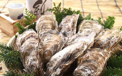 釧路福司・北海道のお米で造った純米酒(黒)と牡蠣(中)10個のセット ふるさと納税 酒 牡蠣