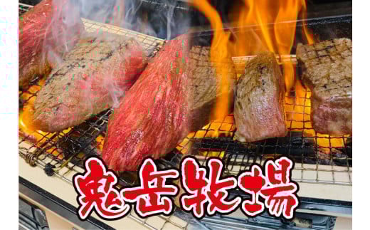 【全3回定期便】長崎和牛 出島ばらいろ レギュラータイプE
