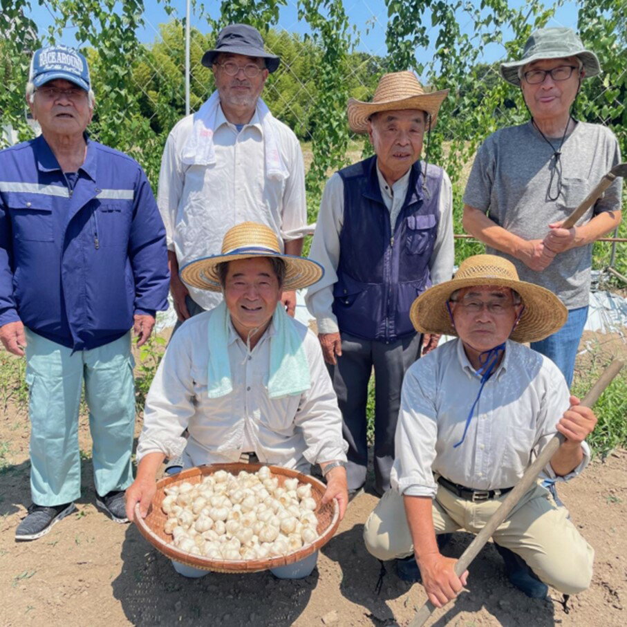 【ふるさと納税】【先行予約】【訳あり】毎日食べて元気モリモリ！国東産乾燥にんにく/バラ0.8kg/こだわり減農薬栽培