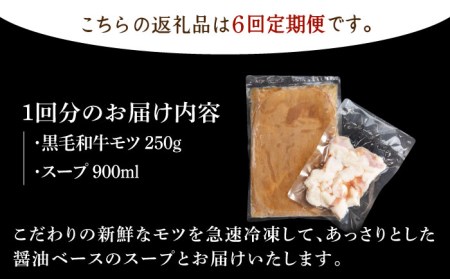 【全6回定期便】佐賀県黒毛和牛 もつ鍋セット 2?3人前 HAD141 