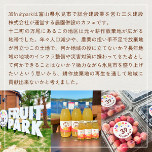 100％りんごジュース 1000ml×2本 | 果樹園 富山 氷見 ジュース ストレートジュース 果物 フルーツ ふじ 林檎 リンゴ りんご 飲料 果実飲料 ドリンク 1L 国産 ギフト 瓶