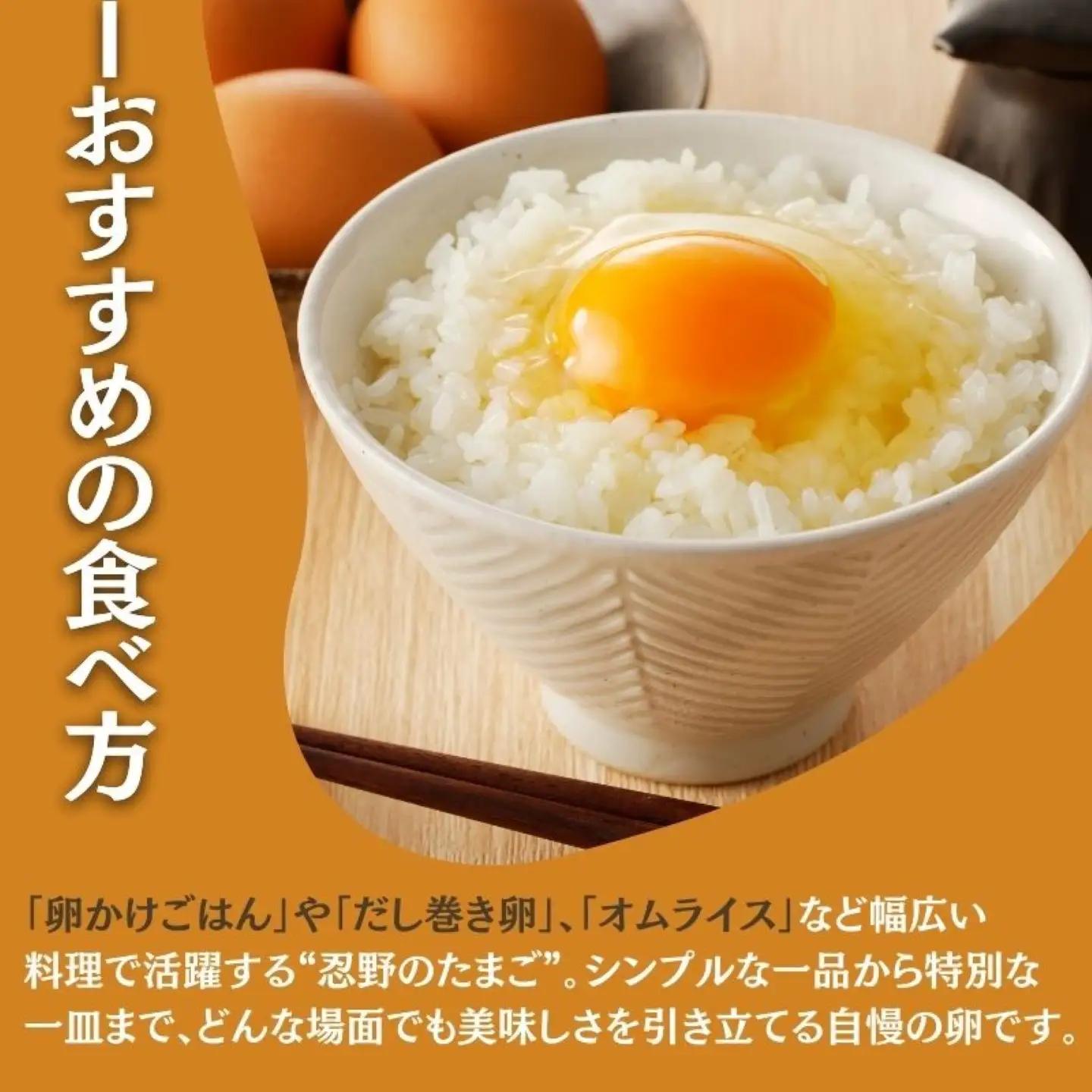 【忍野のたまご】コクの赤玉【50個入り】