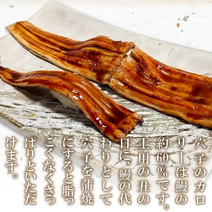 特大 あなご一夜干し 1尾 250g 「天女の羽衣」【穴子 一夜干し 250g 穴子干物 魚介類 魚 アナゴ 干物 特大 50cm 無添加 天日塩 新鮮 冷凍 真空パック 贈答 ギフト 父の日 母の日