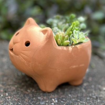 ふるさと納税 藤井寺市 埴輪寄せ植え |  | 01