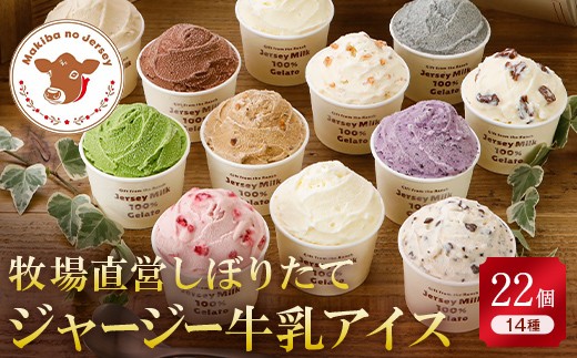 
            【ジャージー牛乳使用】まきばのジャージーアイス人気の14種22個セット F21C-037
          