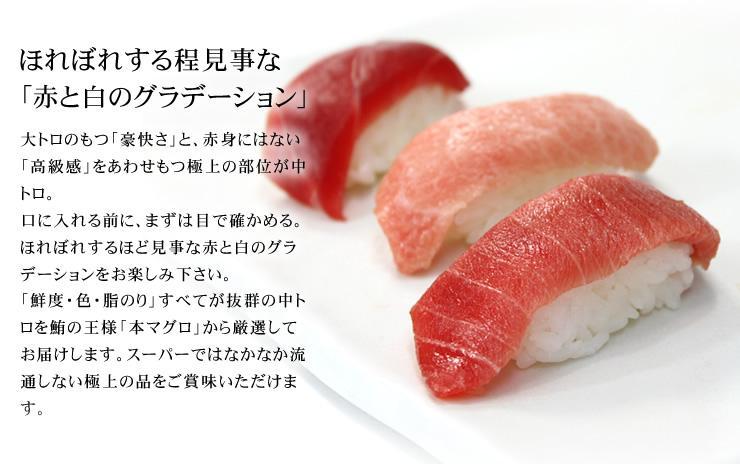 【定期便/計3回】本マグロ中トロ300g（計900g）【DG005-t3】|いわき市 ふるさと納税 株式会社東日本貿易 鮪 本鮪 本まぐろ マグロ トロ とろ 刺し身 さしみ さかな 海鮮 寿司 解凍