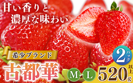 【先行予約】平群 の 古都華 M 〜 L サイズ 2パック 扇田農園 | フルーツ いちご 古都華 奈良県 平群町