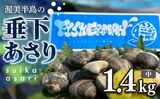 【先行予約】どでかい！垂下あさり 1.4kg 中 サイズ あさり ブランドあさり 浅利 ダシ 出汁 味噌汁 国産 アサリ 愛知県 田原市 新鮮 砂抜き 海鮮 魚介類 魚介 貝 人気 パスタ などに