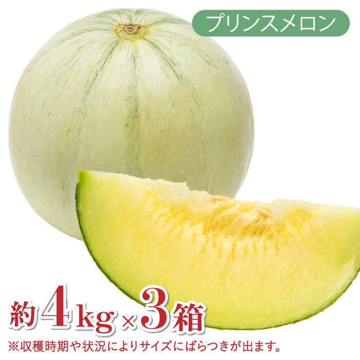 【2025年4月下旬～発送】【根強い人気！】 プリンスメロン 3箱 セット  / メロン 南島原市 / 南島原果物屋 [SCV007]_イメージ3