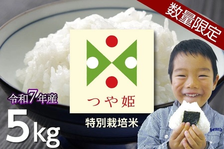 【数量限定】【令和7年産新米キャンペーン】特別栽培米つや姫 5kg(5kg×1袋) 　うまい庄内