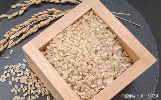 令和8年産米　淡路島産コシヒカリ　玄米10㎏