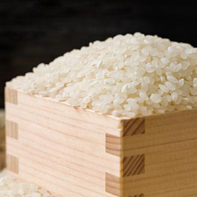 ふるさと納税 智頭町 【食味鑑定士厳選】鳥取県産 きぬむすめ20kg(5kg×4袋) 精米 |  | 01