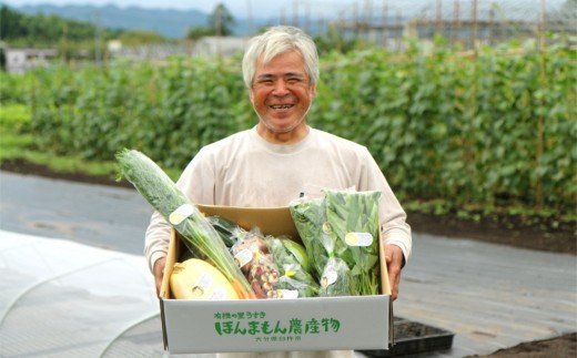 化学合成農薬等不使用で栽培！安心安全な「ほんまもん野菜」を8品目お届け♪