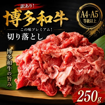 
                  訳あり!＜A4～A5＞この味プレミアム!博多和牛切り落とし　250g(大牟田市)【1743902】
                