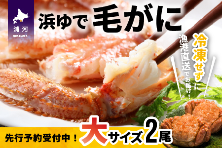 【先行受付開始！】漁協の浜ゆで毛がに 大サイズ２尾セット※日付指定対応不可※[02-776]