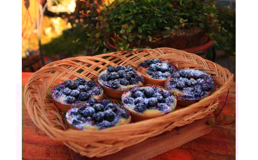 人気の『ブルーベリーキッシュ』6 個セット＜kiyomidai cafe＞ ふるさと納税 ふるさと納税 キッシュ フルーツキッシュ ブルーベリー 果物 千葉県 木更津 送料無料 KAD009