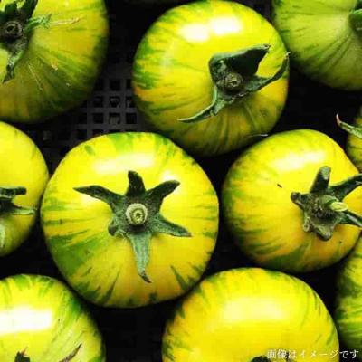 ふるさと納税 糸島市 【全6回定期便】農薬化学肥料不使用 こだわり野菜セット オーガニックナガミツファーム[AGE017] |  | 02