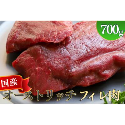 ふるさと納税 美里町 国産オーストリッチフィレ肉　700g◆ダチョウ肉