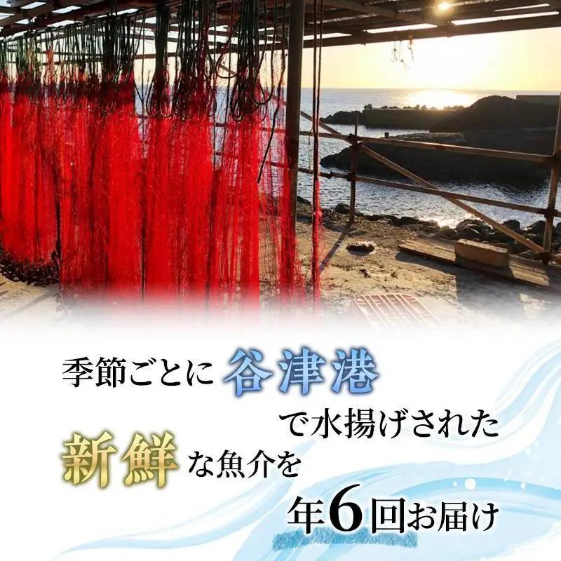 海鮮セット 年6回 定期便 アワビ 伊勢海老 海藻 海鮮セット