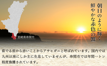 KU018 【数量・期間限定】宮崎県串間産アサヒガニ(計約2kg・7～12匹)日本では大変希少な国産アサヒガニ ！