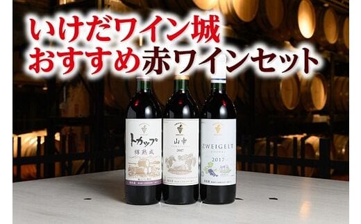
										
										十勝ワインいけだワイン城おすすめ赤ワインセット【B001-3-2】
									