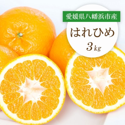 【2025年12月より順次発送】愛媛県八幡浜市産 はれひめ3kg【C25−206】【1612488】