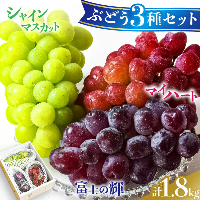 【ふるさと納税】ぶどう シャインマスカット ＆ マイハート ＆ 富士の輝 約 1.8kg 令和8年産 先行予約 2026年 ブラックシャインマスカット 種無し セット 詰め合わせ 果物 フルーツ のし 贈答 ギフト 秋 旬 10月 山形 産地直送 お取り寄せ 送料無料 【 山形県 天童市 】