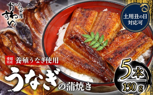 【容量選択可】【土用丑の日】【7月24日にお届け！】〈うなぎ屋かわすい〉愛媛県松山市養殖うなぎを使用！うなぎ蒲焼 5本 (1尾：150～169g)  ｜うなぎ ウナギ 鰻 蒲焼き 国産 お取り寄せ グルメ ふるさと納税  簡単調理 土用丑の日 ギフト 贈り物 お中元 お歳暮 母の日 父の日  かわすい 川口水産 愛媛県 松山市