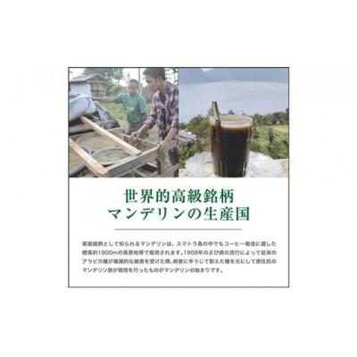 ふるさと納税 堺市 【豆】#906 インドネシア・マンデリン ミトラ G1 コーヒー豆 310g |  | 03