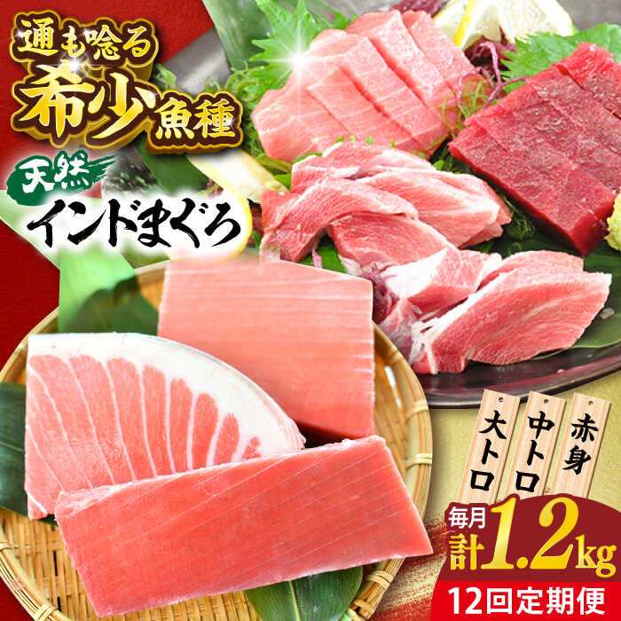 【ふるさと納税】【全12回定期便】天然 まぐろ 大トロ・中トロ・赤身（約200g×6柵）約1200g 鮪 マグロ 魚 刺身 横須賀【本まぐろ直売所】[AKAK085]