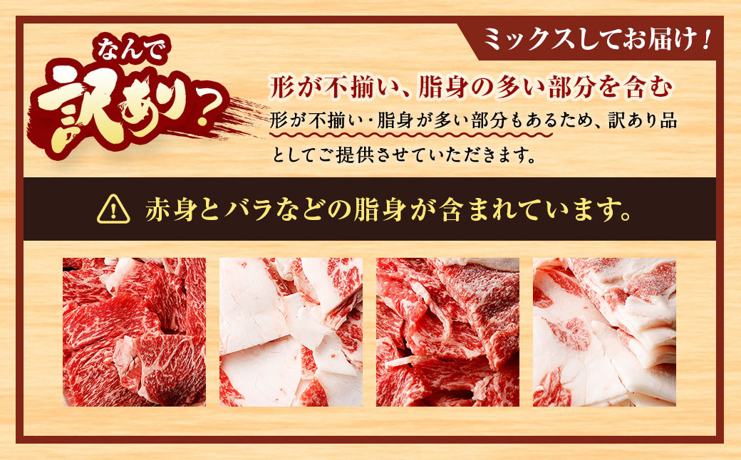 【訳あり】博多和牛 切落し 合計1kg (500g×2パック)