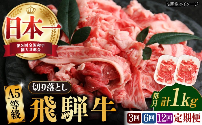 
                  【選べる定期便回数】【飛騨牛】A5等級 切り落とし 1kg (3回/6回/12回) 和牛 ブランド牛 国産 牛肉 多治見市 / 渡辺精肉店 [TAZ015]
                