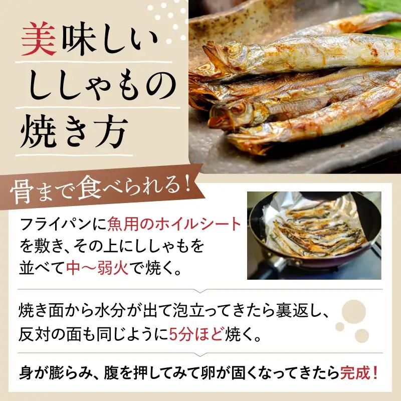 【訳あり】子持ちシシャモ 500g（500g×1袋） mi0012-0186