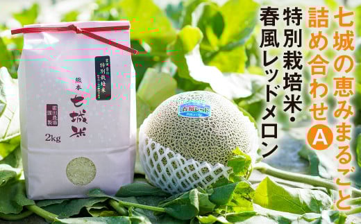 七城の恵みまるごと詰め合わせＡ(特別栽培米 2kg・春風レッドメロン 1玉)【2026年5月上旬～5月下旬発送予定】