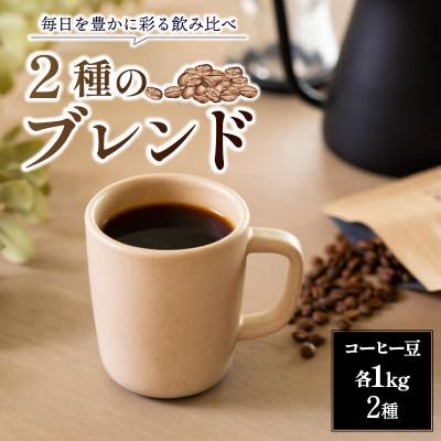 ふるさと納税 奈良市 コーヒー豆 1kg×2種 ブレンドコーヒー 自家焙煎 ROKUMEI COFFE G-102