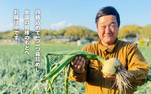 【新たまねぎ】淡路島たまねぎ(5キロ)【発送時期：2025年4月