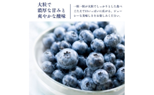 【毎月定期便】冷凍ブルーベリー2kg(500g×4パック)全3回【4092941】
