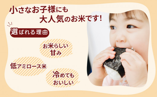 【定期便 9ヶ月】茨城県産 ミルキークイーン 精米4kg（2kg×2袋）※離島への配送不可