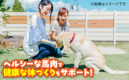 【全12回定期便】ペット用 馬刺しジャーキー 約100g(約50g×2) / ペットフード ドッグフード 愛犬 馬肉 ジャーキー おやつ ペットおやつ【五右衛門フーズ】[BHCY064]