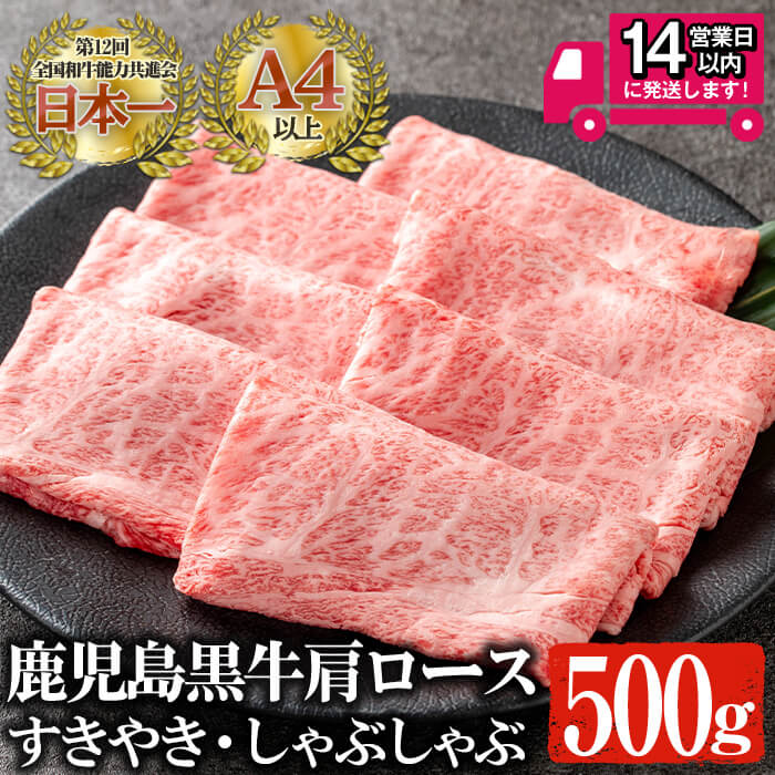 【ふるさと納税】＜14営業日以内発送！＞鹿児島黒牛 A4以上 肩ロース すきやき・しゃぶしゃぶ (計500g) 国産 鹿児島県産 黒毛和牛 和牛 牛肉 A4 肩ロース すき焼き しゃぶしゃぶ 牛すき 牛しゃぶ【佐多精肉店】