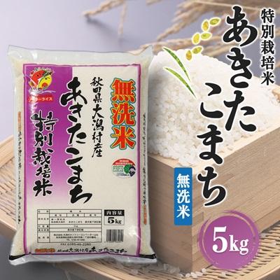 ふるさと納税 大潟村 あきたこまち特別栽培・無洗米(精米)5kg