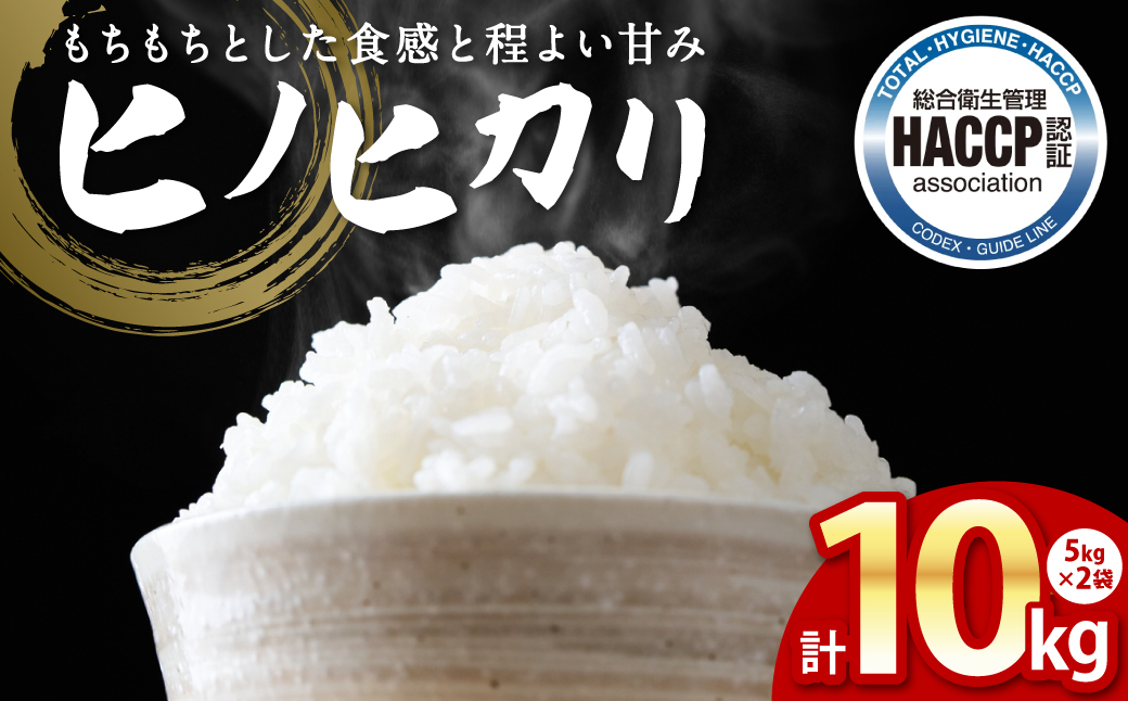 【先行予約】 ヒノヒカリ 5kg×2袋 合計10kg 熊本県 八代市産 米 お米 精米 白米 国産 【2025年11月下旬より順次発送】