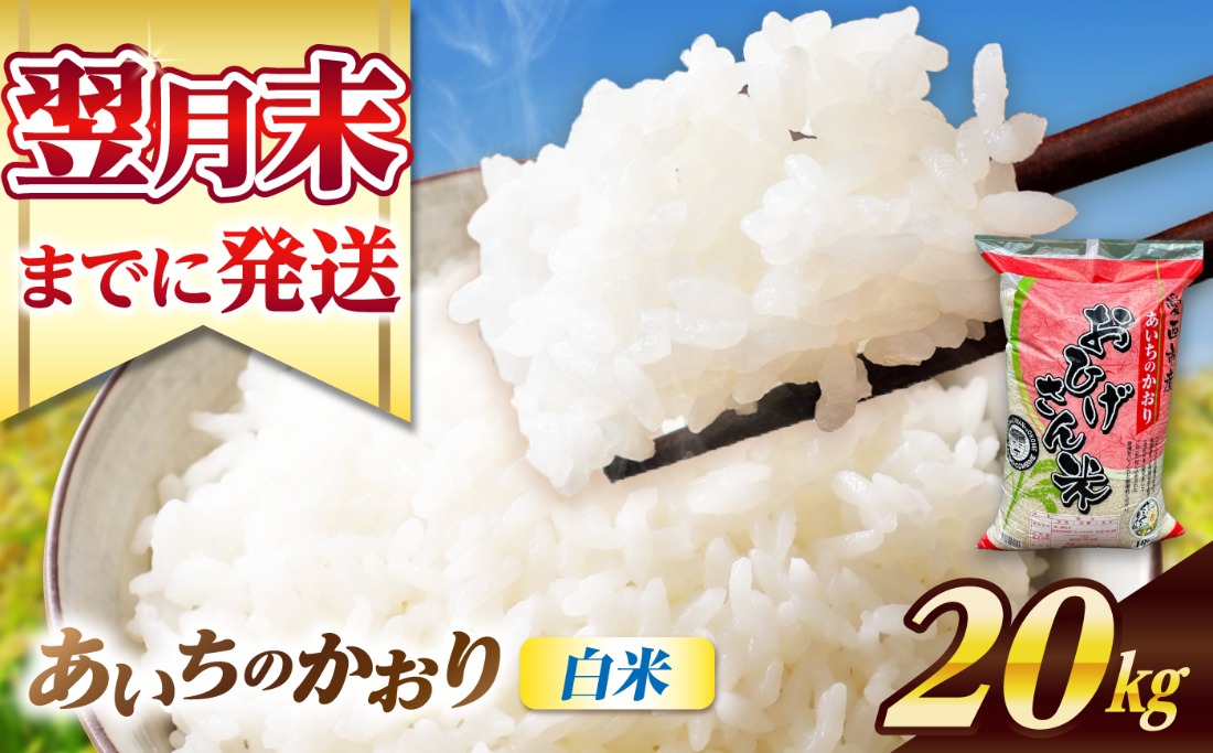あいちのかおり 白米 20kg / 脇野コンバイン[AECP003-11]