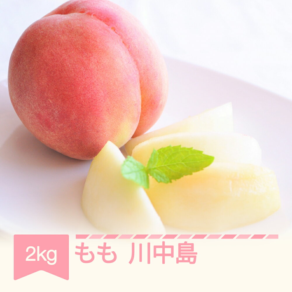 【ふるさと納税】先行予約 もも 桃 川中島 約2kg 2025年産 令和7年産 山形県産 送料無料