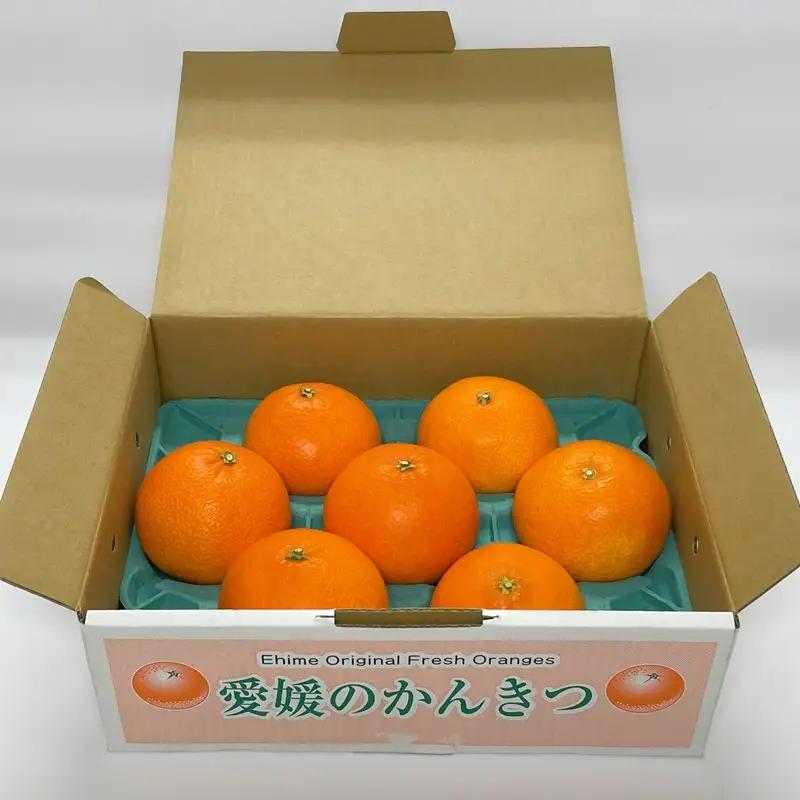 【2026年先行予約】紅まどんな 1.7kg (5～10個) 愛媛みかん 愛果28号 化粧箱入り 【11月下旬より順次発送予定】 紅マドンナ まどんな マドンナ みかん ミカン 蜜柑 果物 くだもの 