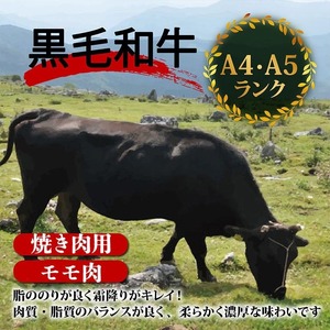 【定期便6回】土佐黒毛和牛モモ肉焼肉用 計4.8kg（800g×6ヶ月) | たけうちミート定期便3Qコース モモ肉 最上位等級 A4 A5  焼き肉 やきにく 小分け 冷凍 国産 ブランド 和牛 和