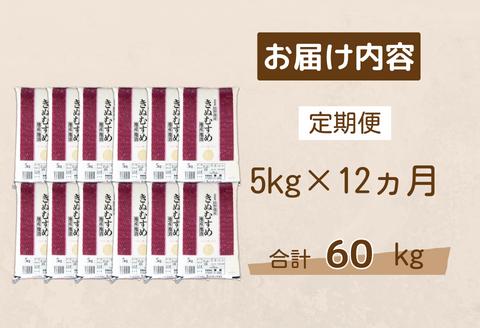 150263【令和5年産／お米定期便／12ヵ月】しまね川本きぬむすめ5kg(計60kg）