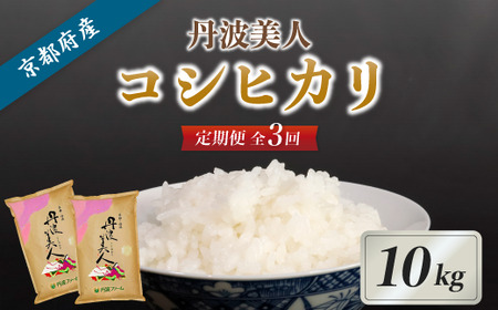 【3回毎月定期便】京都府産 コシヒカリ「丹波美人」白米 10kg 令和7年度産 