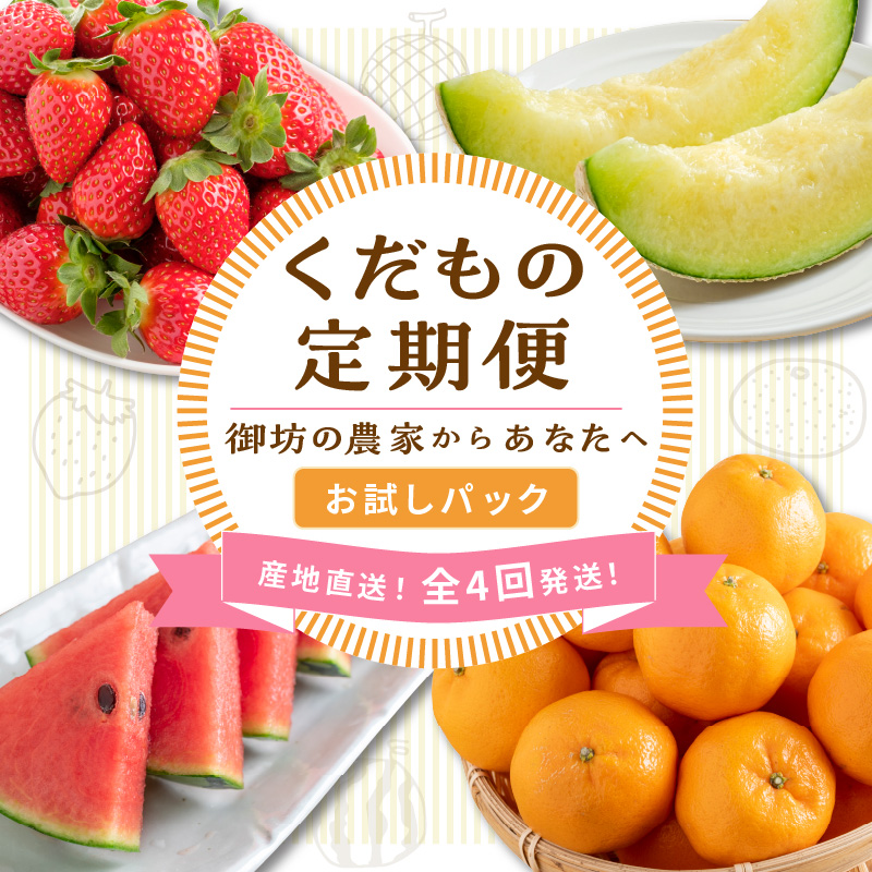 ≪2026年発送分≫産地直送！くだもの 定期便「お試しパック」御坊の農家からあなたへ。【配送不可地域：北海道・青森・秋田・岩手・沖縄・離島】